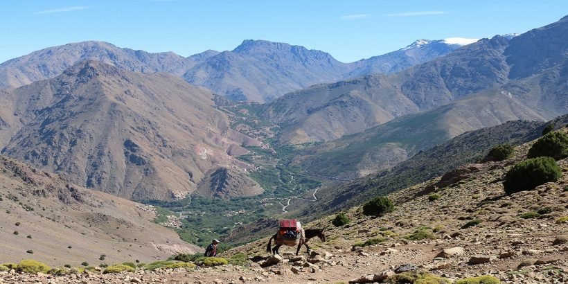 Atlas Trek Morocco – Copy Atlas Trek Morocco – Copy
