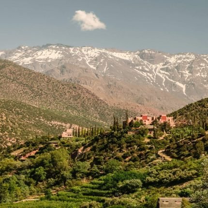 Ourika Valley Private Full-Day Tour from Marrakech