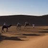 Morocco Desert from Fes