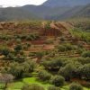 Ouirgane Day Trip from Marrakech – Copy