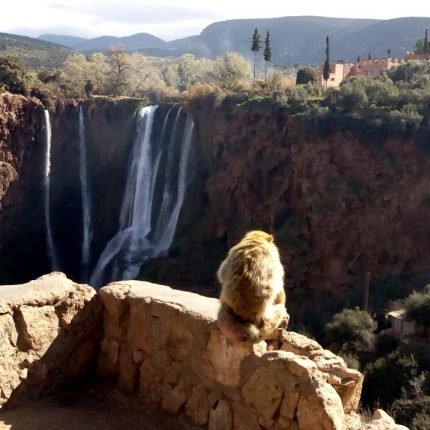 Ouzoud Waterfalls Private Excursion from Marrakech