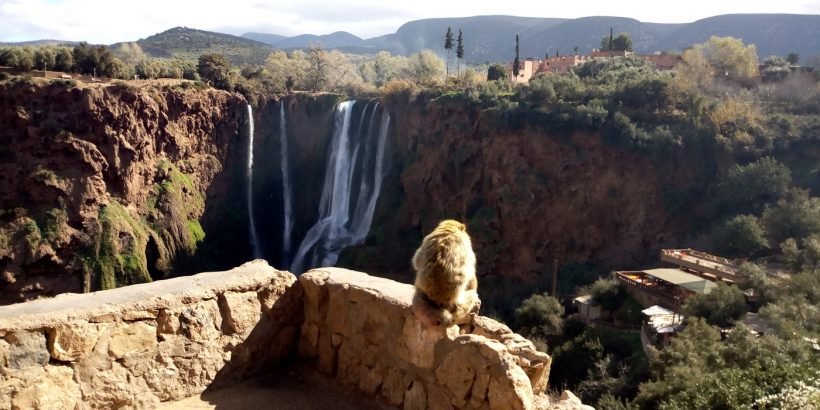Ouzoud Waterfalls Private Excursion from Marrakech 2
