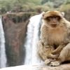 Ouzoud Waterfalls Private Excursion from Marrakech 6