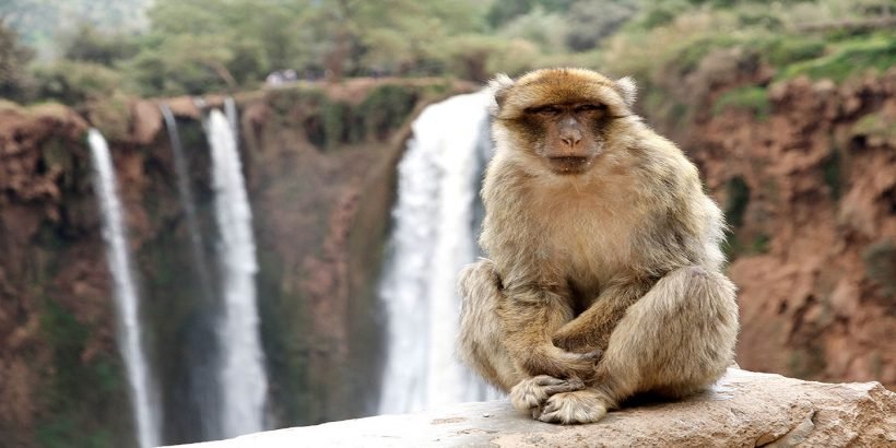 Ouzoud Waterfalls Private Excursion from Marrakech 6