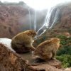 Ouzoud Waterfalls Private Excursion from Marrakech 8