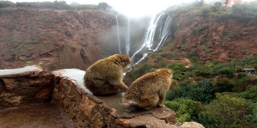 Ouzoud Waterfalls Private Excursion from Marrakech 8