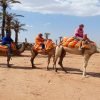 camel ride in Marrakech
