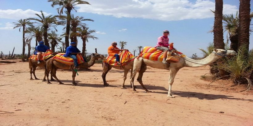 camel ride in Marrakech