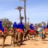 camel rideing in Marrakech