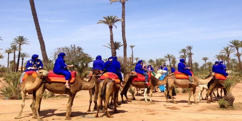camel rideing in Marrakech