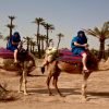 camel trek morocco
