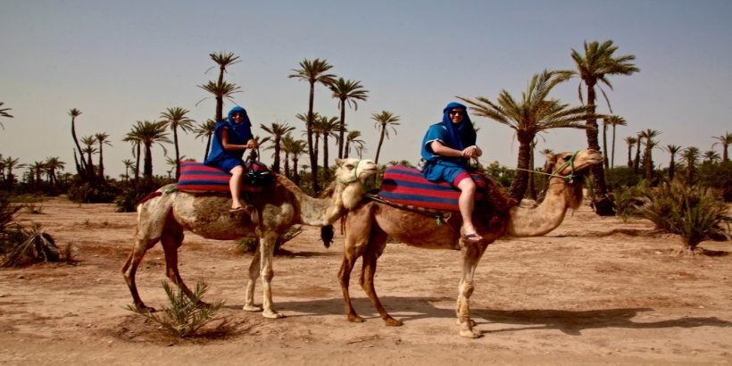 camel trek morocco