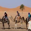 desert of morocco22
