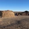 desert tours