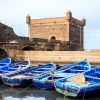 essaouira day trips