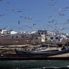 essaouira morocco