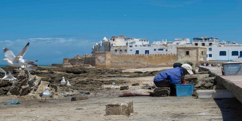 essaouira old medina port