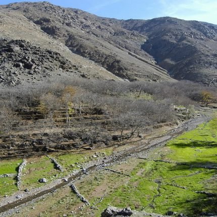Private Day Trip from Marrakech to 3 Valleys
