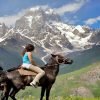 horse-tour