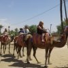 my camel ride experience 1