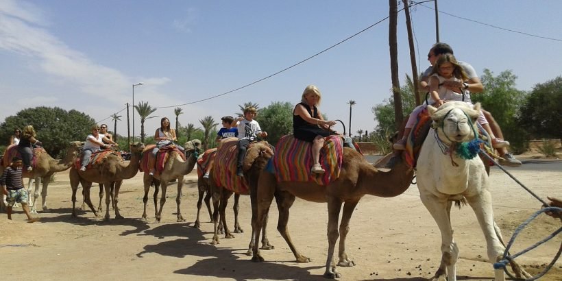 my camel ride experience 1