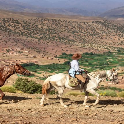 Full Day Horse Riding Atlas Mountains from Marrakesh