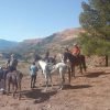 tour_img-1489120-99